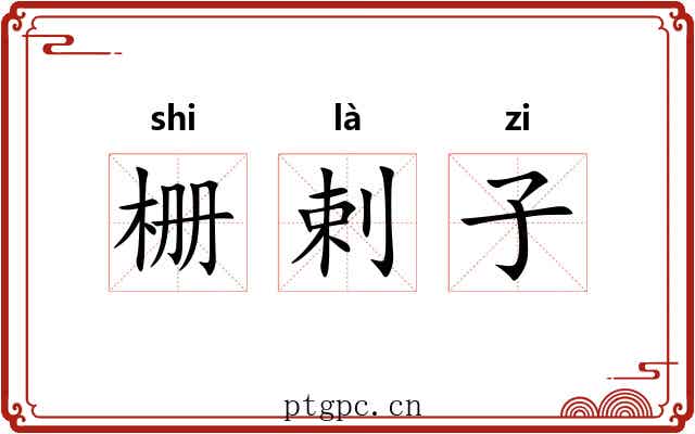 栅剌子