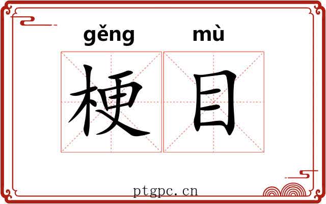 梗目
