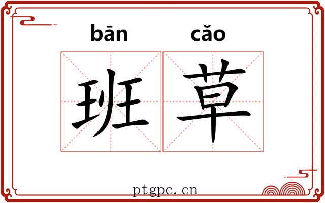 班草 班草