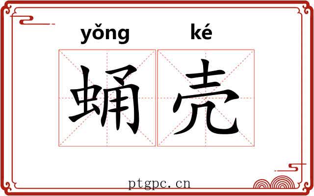 蛹壳