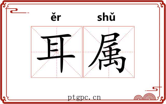耳属