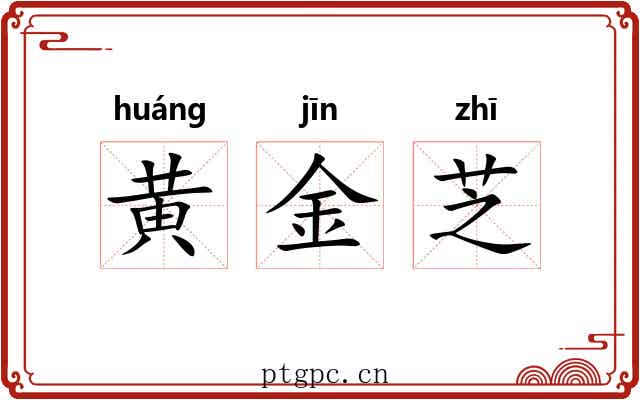 黄金芝