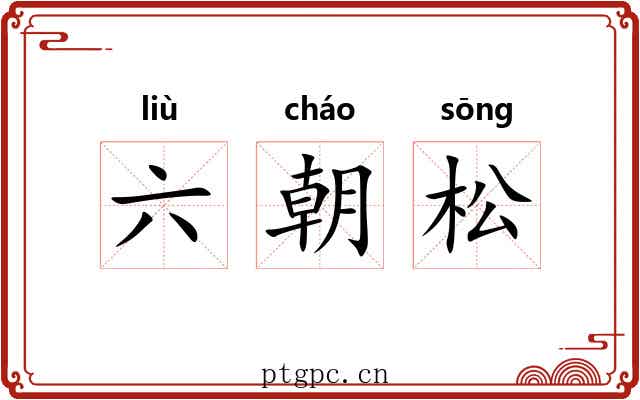 六朝松