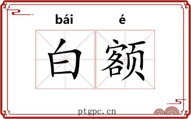 白额