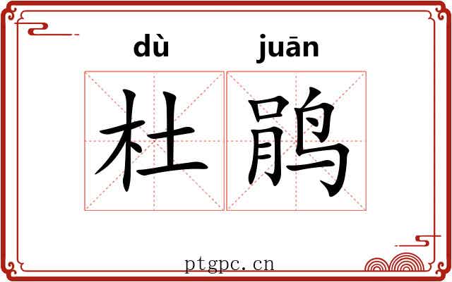 杜鹃 杜鹃