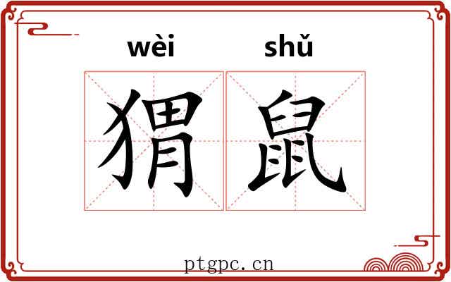 猬鼠