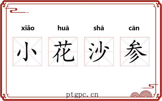 小花沙参 小花沙参