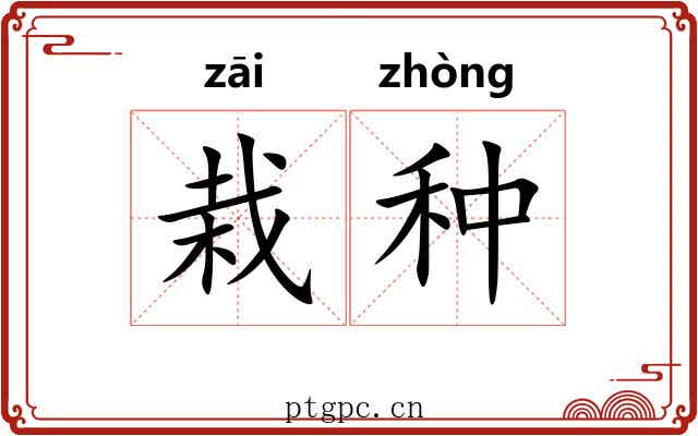 栽种 栽种