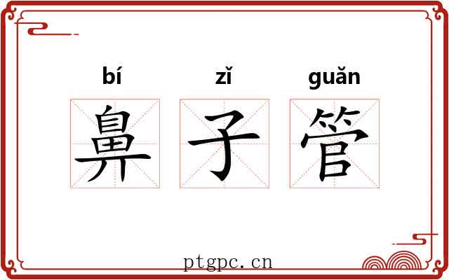 鼻子管