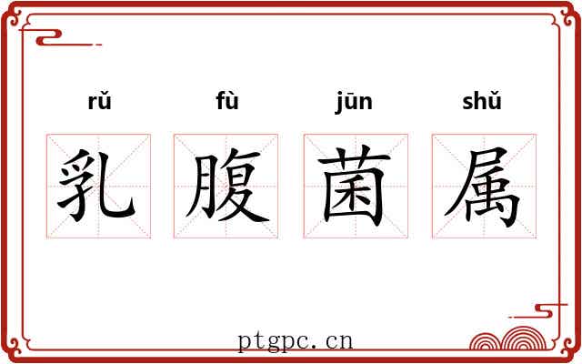 乳腹菌属 乳腹菌属