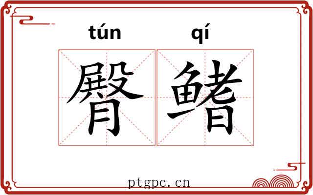 臀鳍