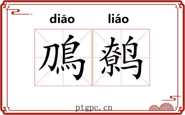 鳭鹩