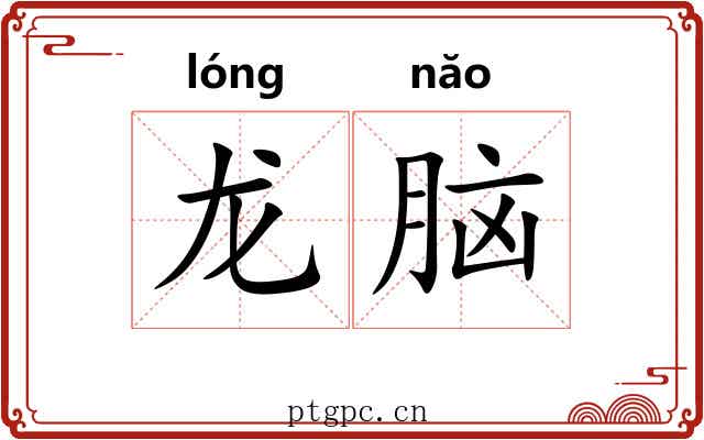 龙脑