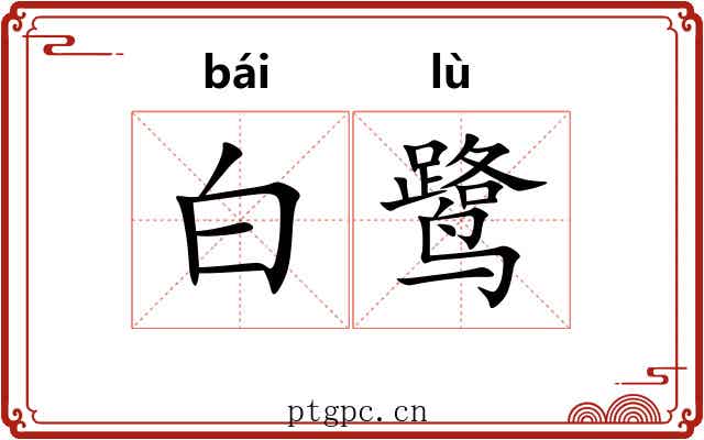 白鹭 白鹭