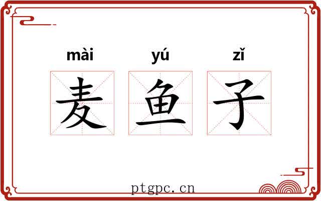 麦鱼子 麦鱼子