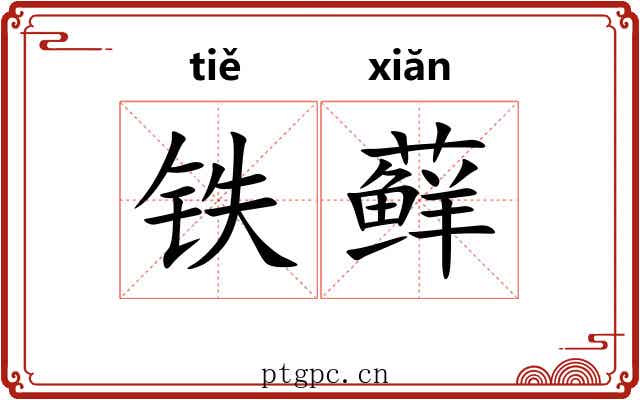 铁藓