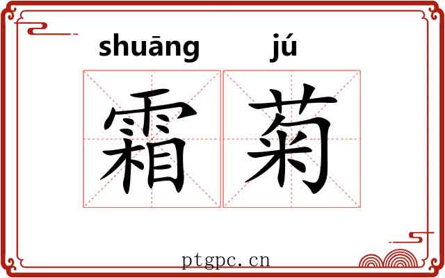 霜菊