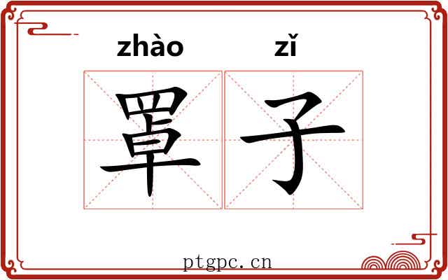 罩子