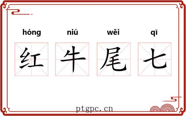 红牛尾七 红牛尾七