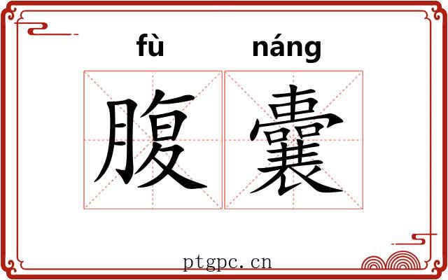 腹囊 腹囊