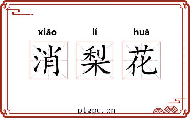 消梨花 消梨花