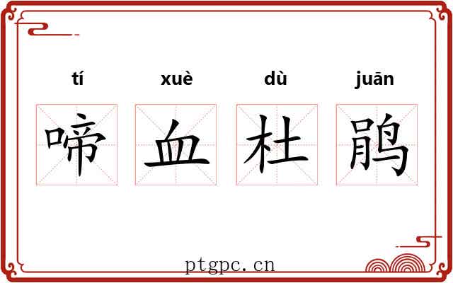 啼血杜鹃 啼血杜鹃