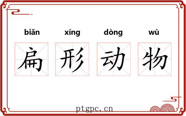 扁形动物