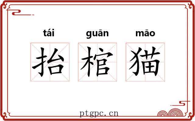 抬棺猫