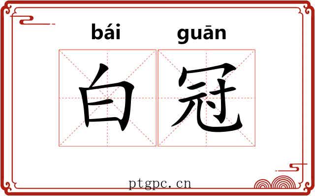 白冠 白冠