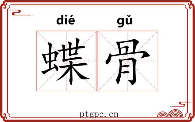 蝶骨 蝶骨