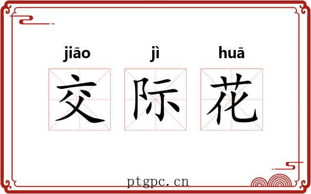 交际花