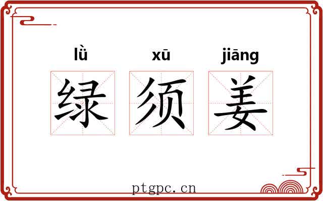绿须姜