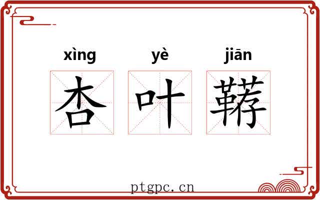 杏叶鞯