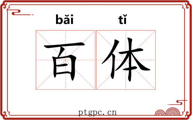 百体