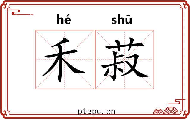 禾菽