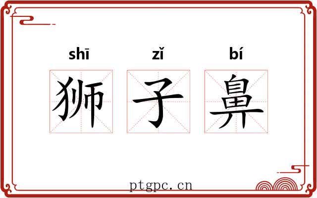 狮子鼻