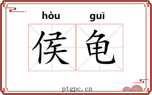 侯龟
