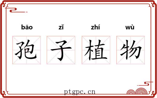 孢子植物
