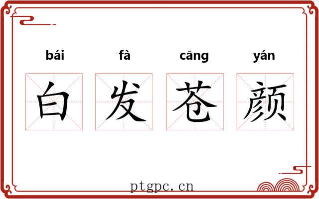 白发苍颜 白发苍颜