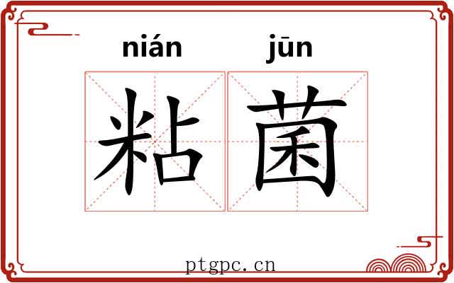 粘菌