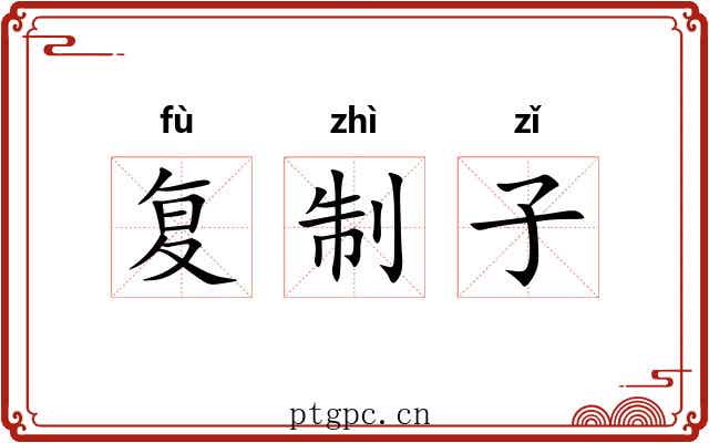 复制子