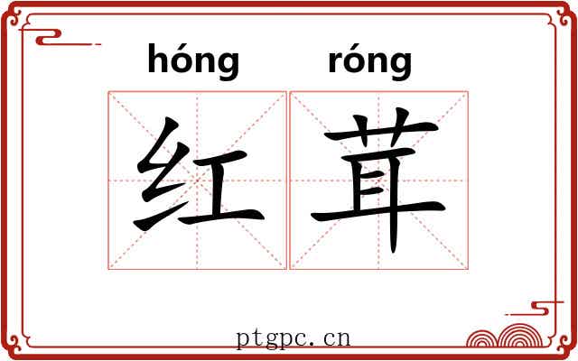 红茸 红茸