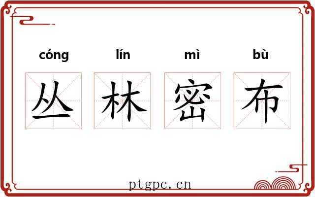 丛林密布