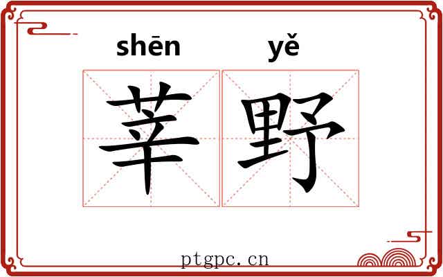 莘野