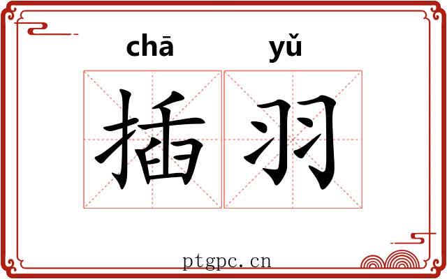插羽