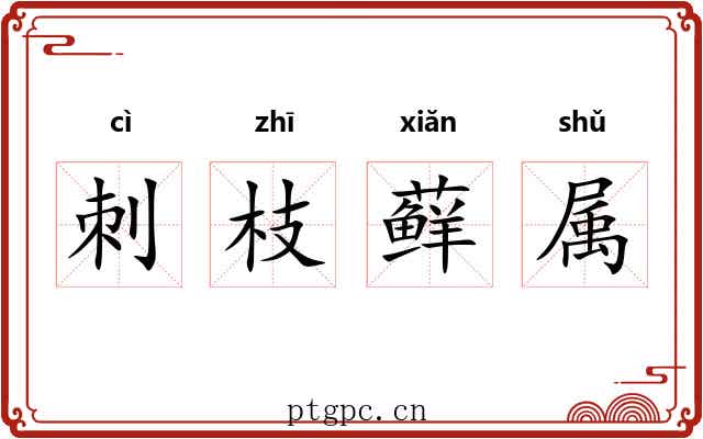 刺枝藓属