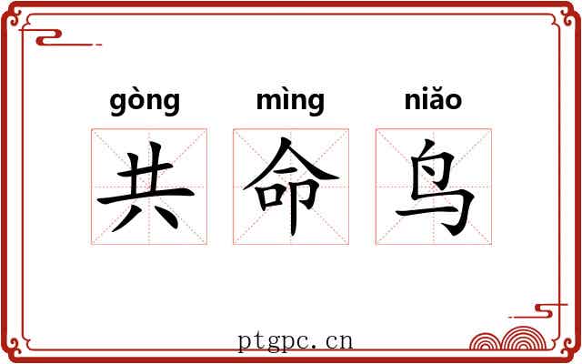 共命鸟 共命鸟