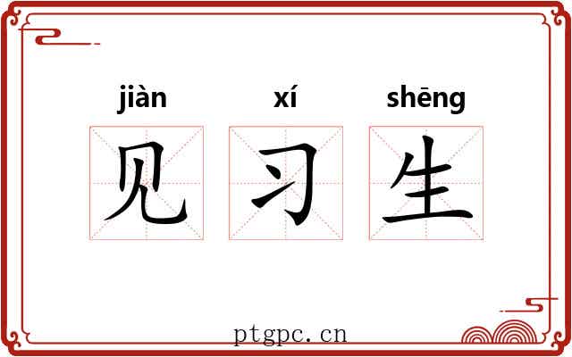 见习生