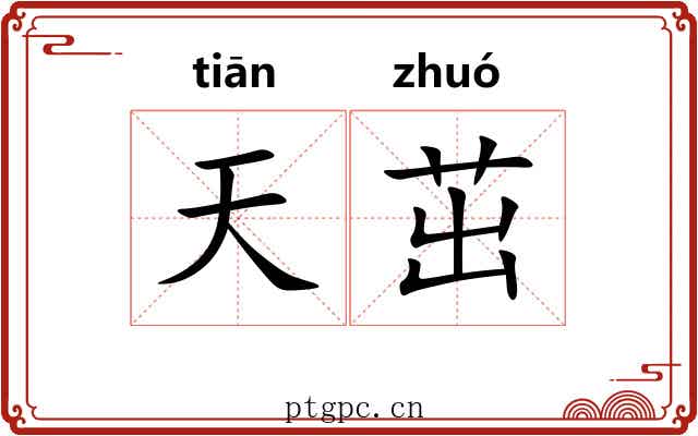 天茁 天茁