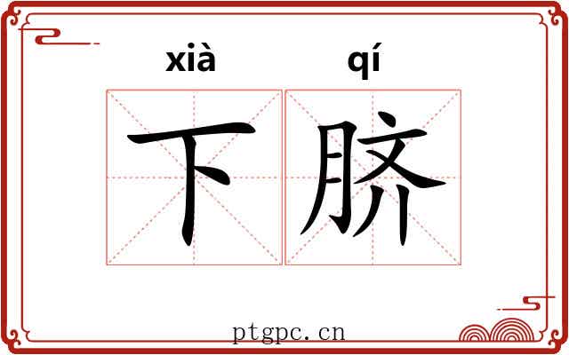 下脐 下脐